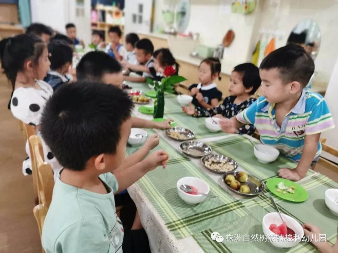 株洲市天元区自然树蒙特梭利幼儿园有限公司