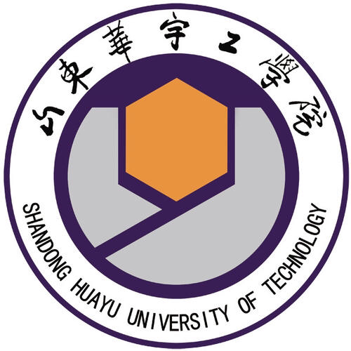 山东华宇工学院