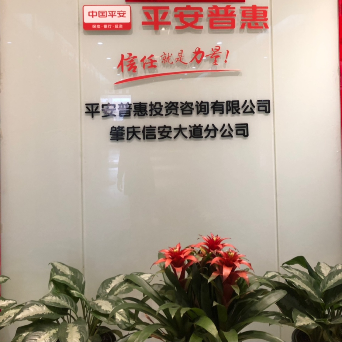 平安普惠投资咨询有限公司肇庆信安大道分公司