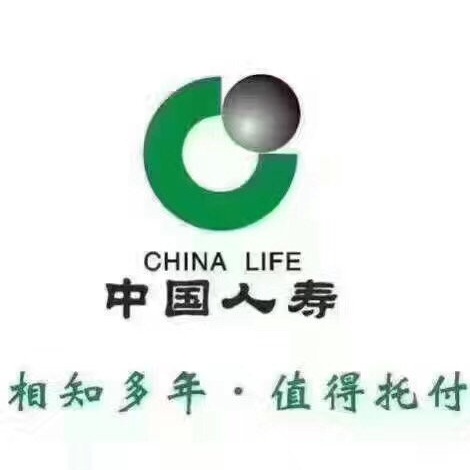 中国人寿保险股份有限公司西安分公司(致恒信团队)