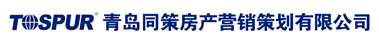 青岛同策房产营销策划有限公司