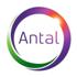 Antal International
