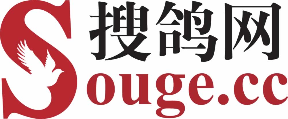 天津搜鸽科技有限公司