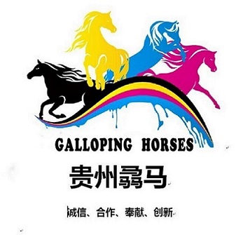 贵州骉马建设工程有限公司