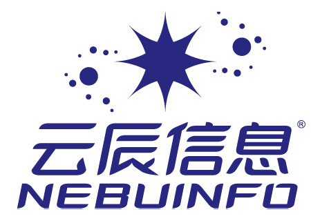 上海雨人软件技术开发有限公司