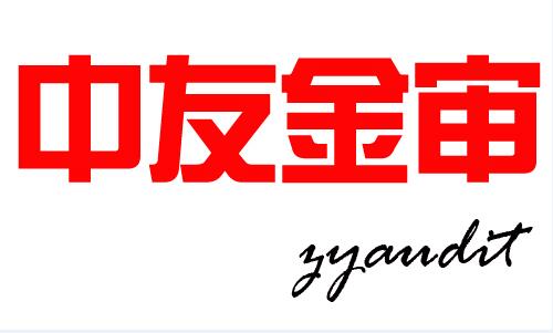 北京中友金审科技有限公司