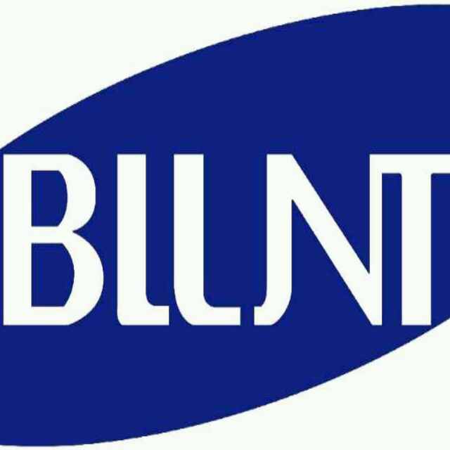 安徽博仑特智能科技有限公司