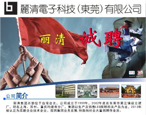 丽清电子科技(东莞)有限公司