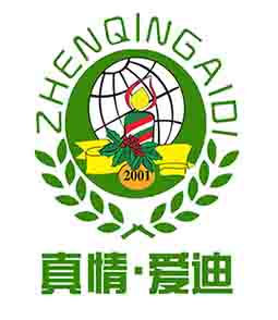 临沂市兰山区银雀山街道真情幼儿园