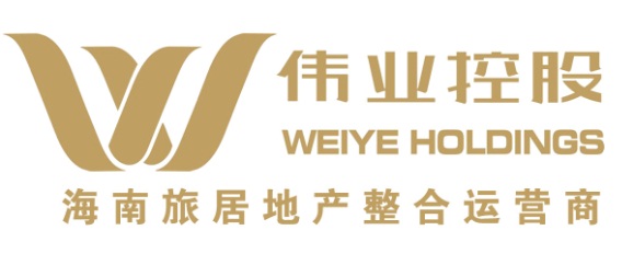 伟业控股集团(海南)有限公司
