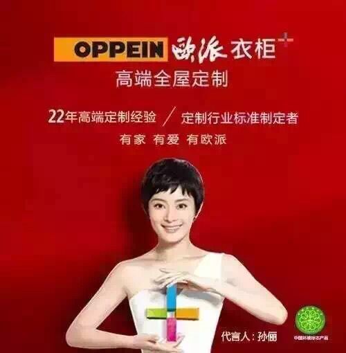 河南郑派家居有限公司