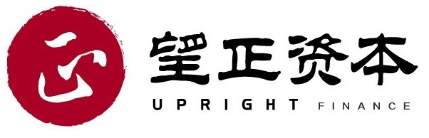 深圳望正资产管理有限公司