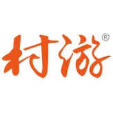 湖北村游网络科技有限公司