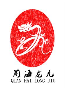 深圳市龙九资产管理有限公司