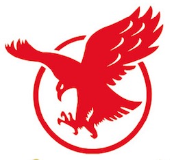 青岛柳源鑫进出口有限公司