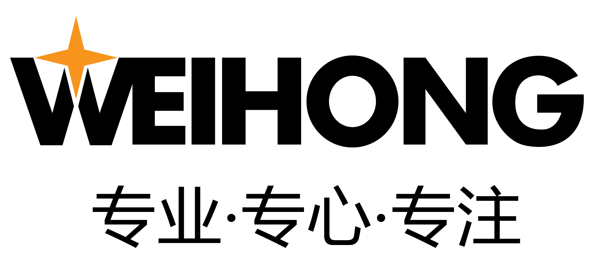 上海维宏电子科技股份有限公司第一分公司