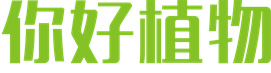 成都你好植物科技有限公司