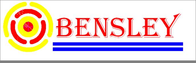 宾时力精密模塑科技(上海)有限公司