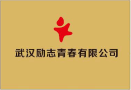 武汉励志青春电子商务有限公司