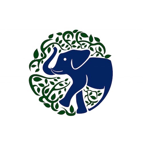 北京顶梁柱教育科技有限公司