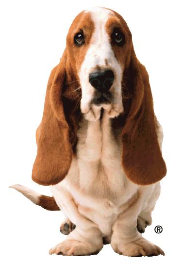 北京天达华服商贸有限公司