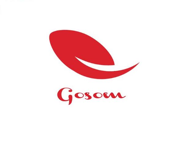 上海国顺国际旅行社有限公司