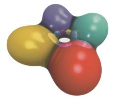 山东九一生物科技股份有限公司