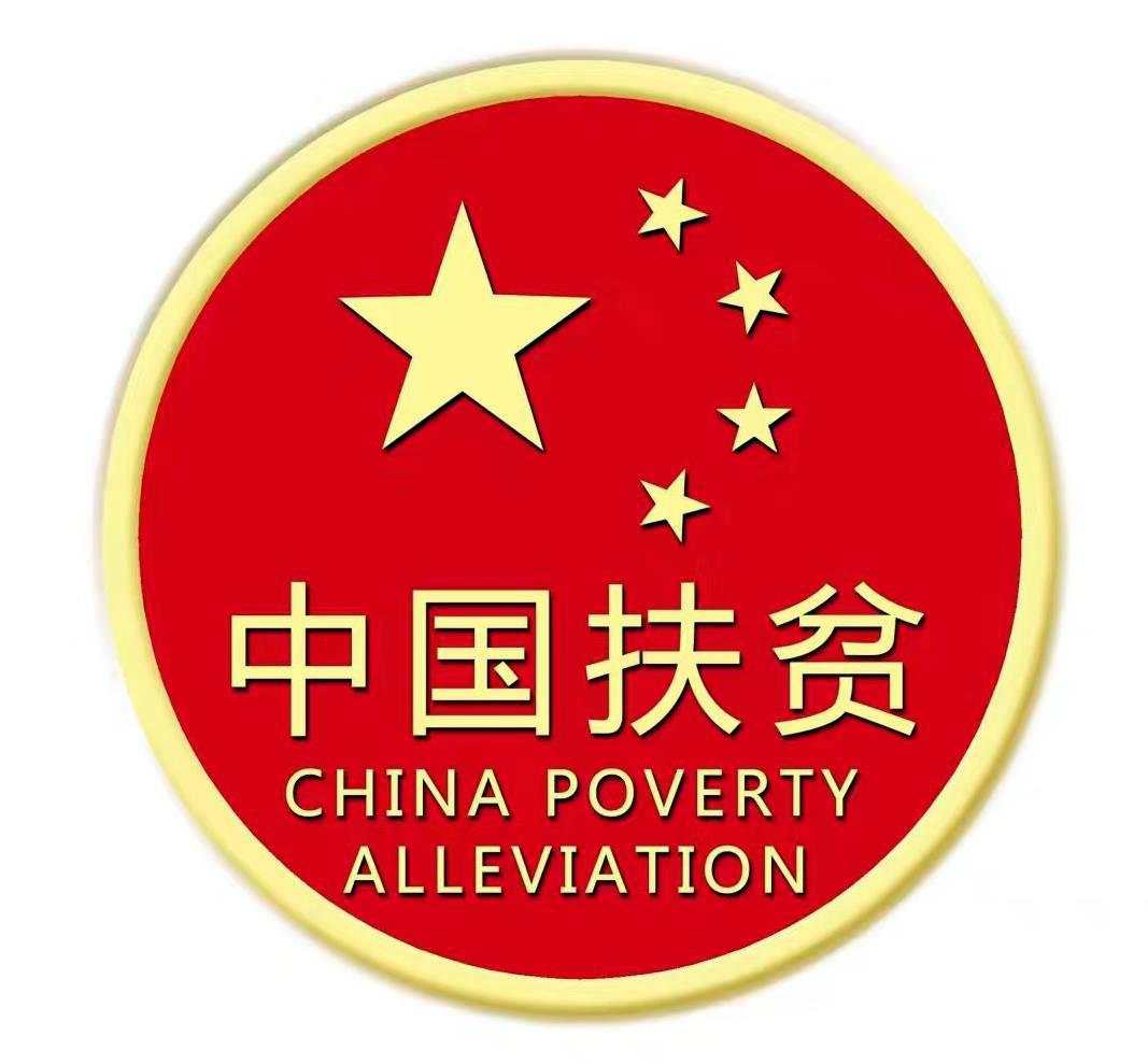 中扶旅游开发有限公司中国扶贫开发服务有限公司成立于2008年,是由