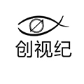 安徽创视纪科技有限公司
