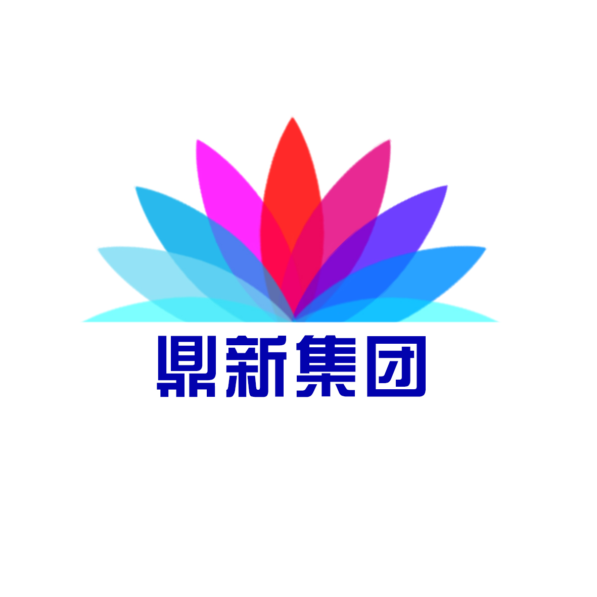 江苏宝东网络科技有限公司