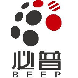 必普电子商务集团股份有限公司