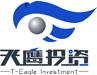 广东天鹰投资有限公司