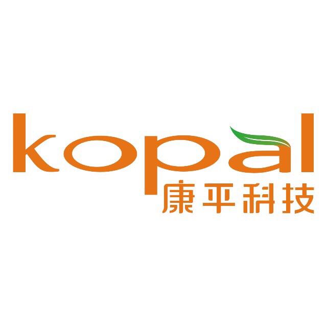 深圳市康平科技发展有限公司