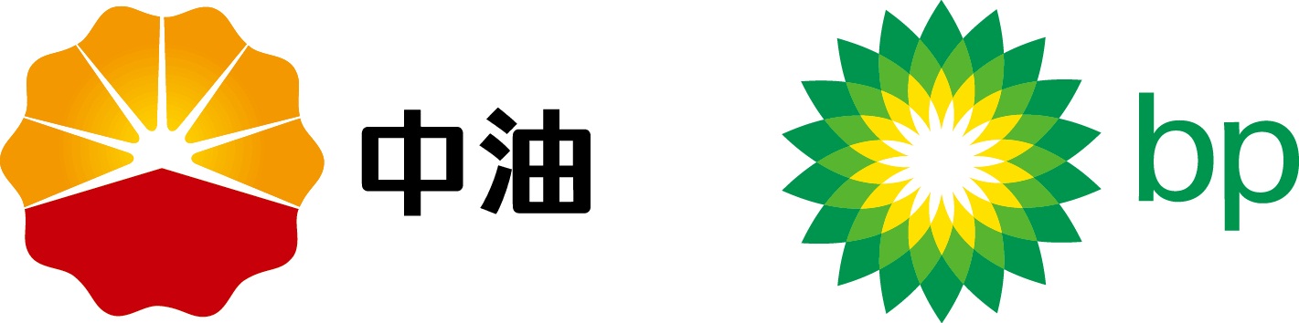 中油碧辟石油有限公司