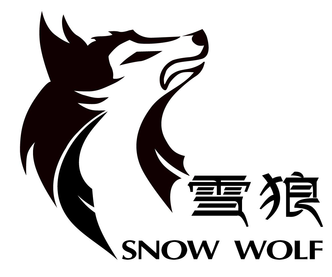 深圳市雪狼网络有限公司