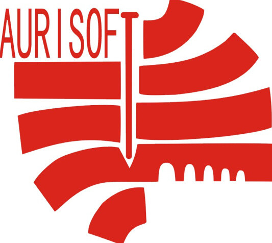 长春金色大桥软件有限公司