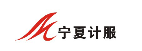 宁夏计算机软件与技术服务有限公司