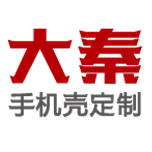 北京大秦新天下电子有限公司