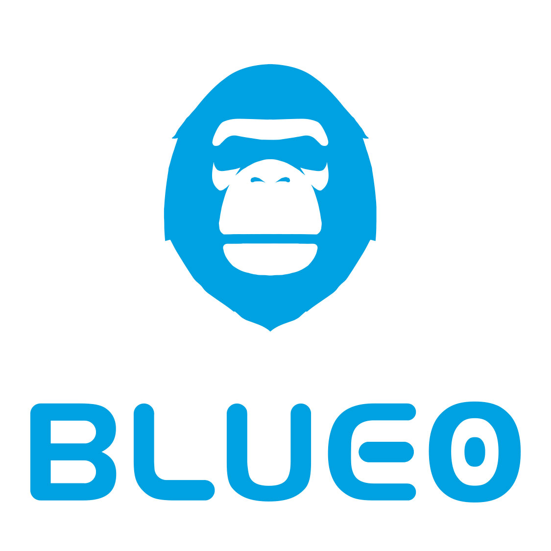 深圳市蓝橙创新科技有限公司