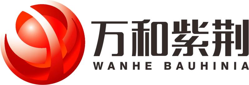 万和紫荆集团有限公司