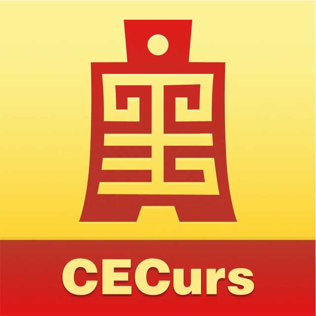 中电信用服务有限公司