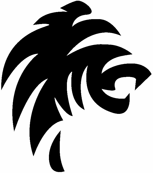 杭州冠啸电子科技有限公司