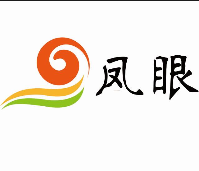青岛凤眼科技有限公司
