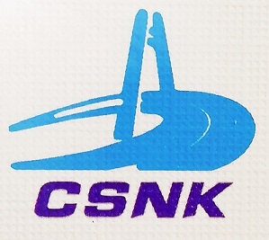 石家庄日讯软件技术开发有限公司