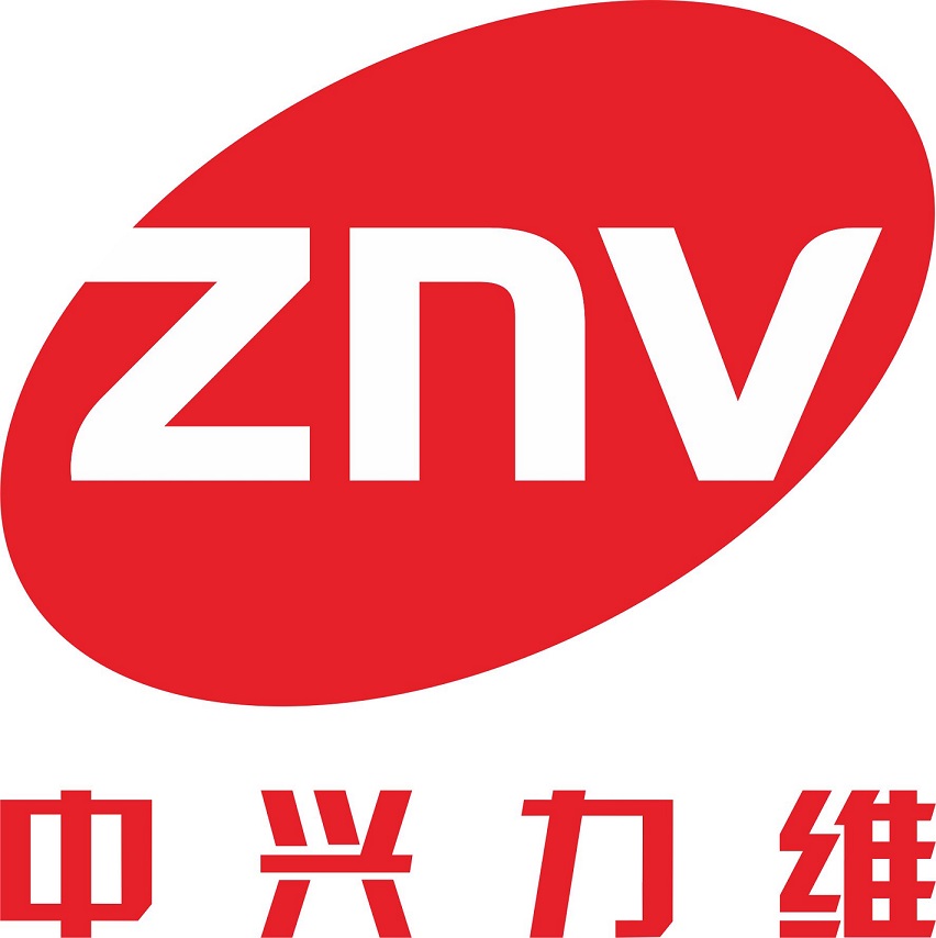 南京中兴力维软件有限公司