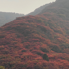 hr頭像