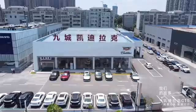 视频封面1