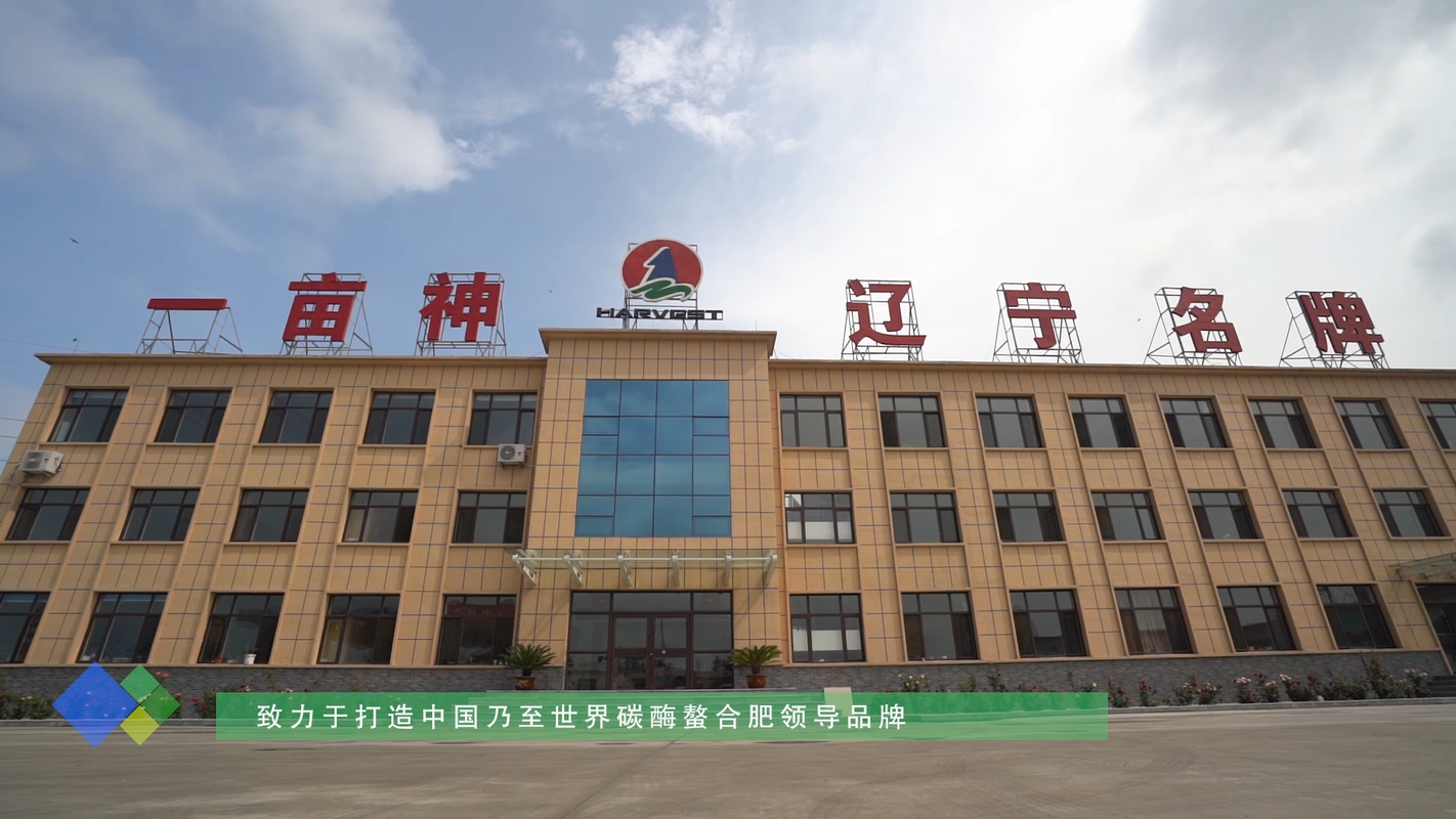 视频封面1