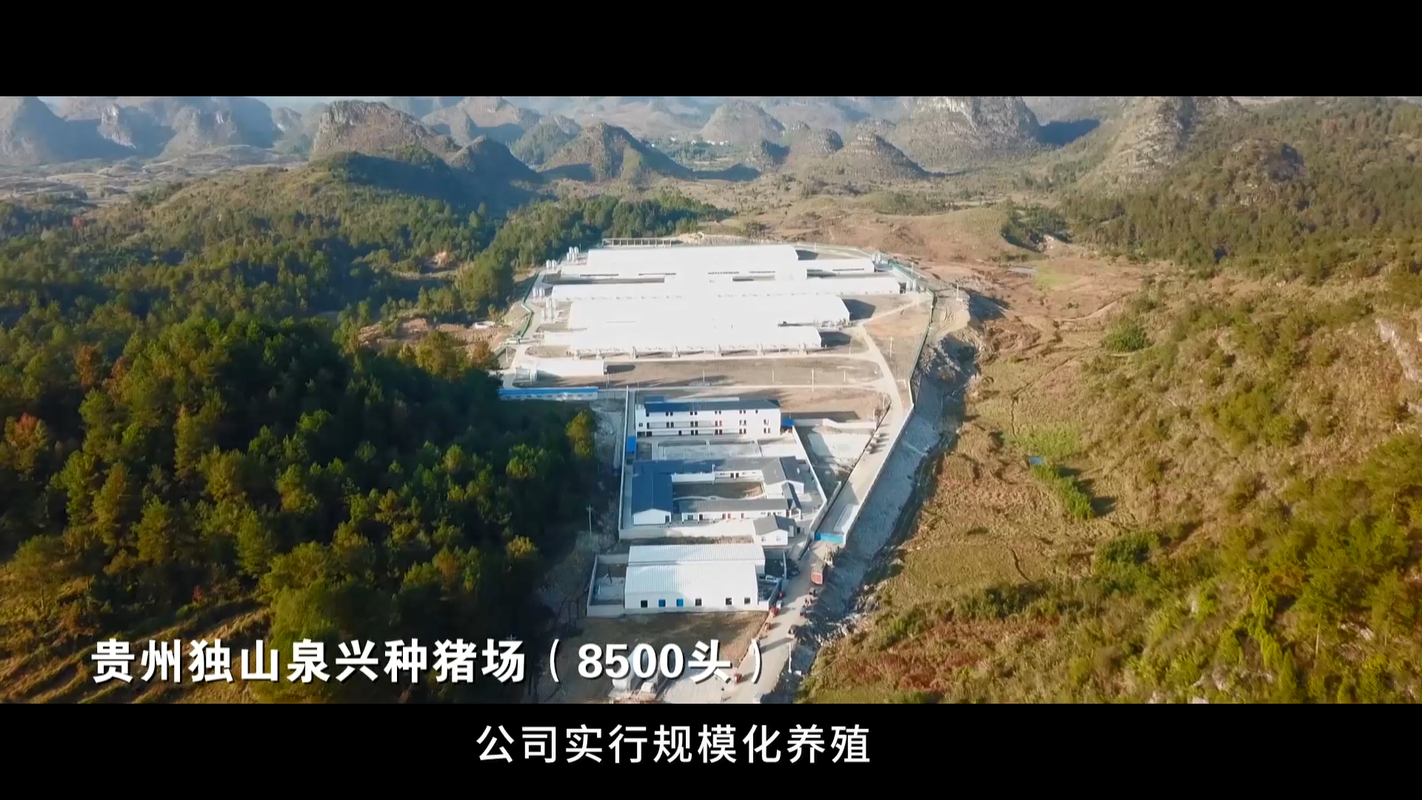 视频封面1