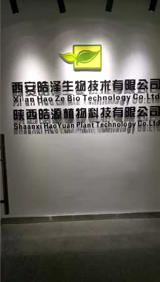 视频封面1